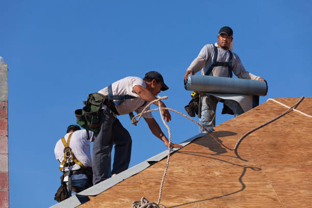 Best Commercial Roof Installation  in Kincaid, IL