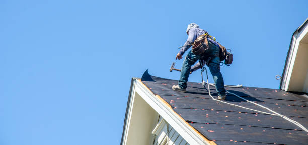 Best Roof Repair Services  in Kincaid, IL